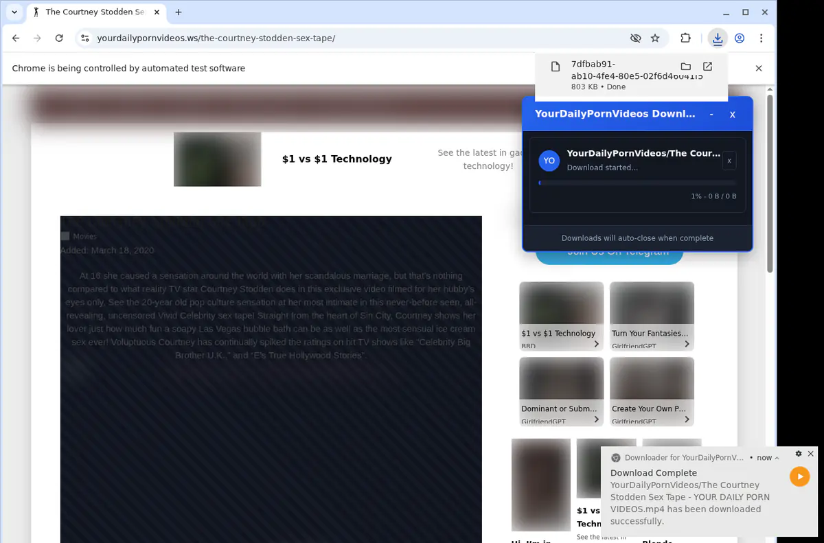 Yourdailypornvideos Video Downloader screenshot 2