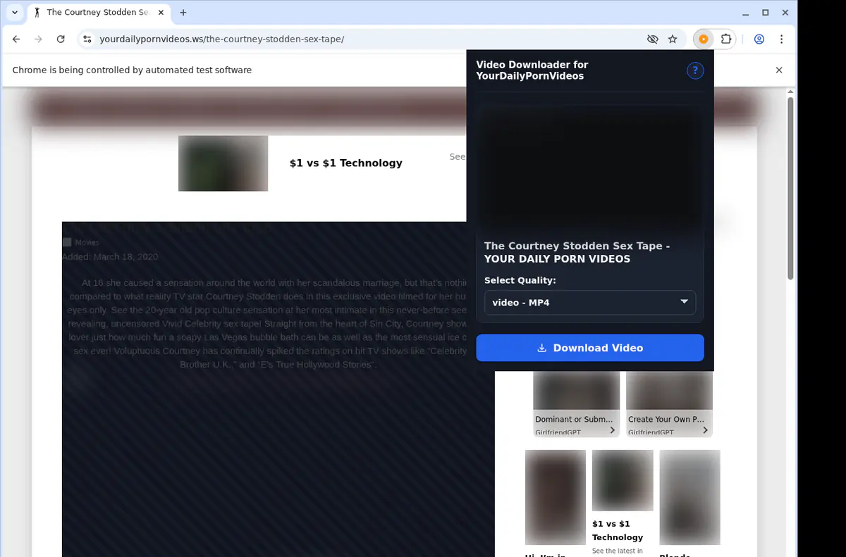 Yourdailypornvideos Video Downloader screenshot 3